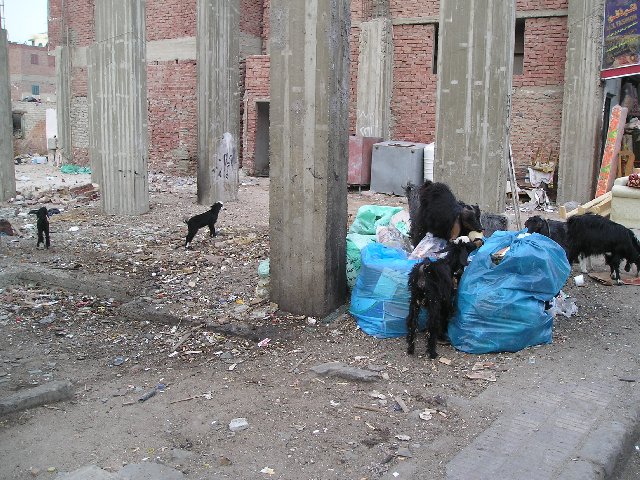 PC091067