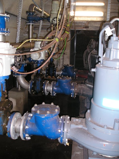 P1283245