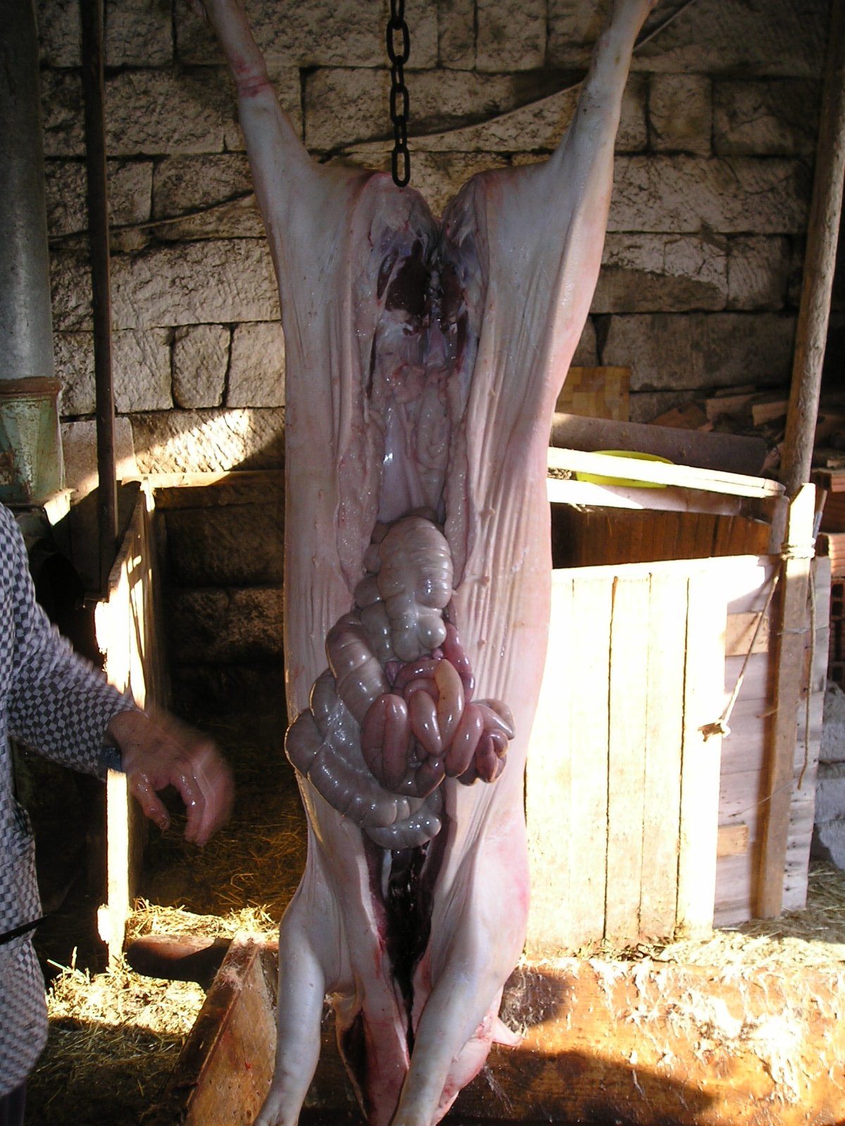 08-všechny střeva ze mě ven