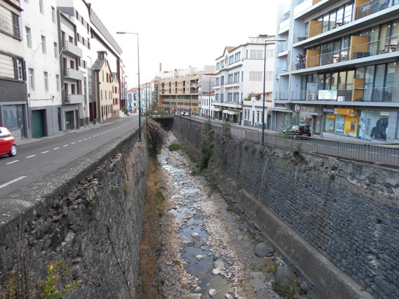 DSCN0963